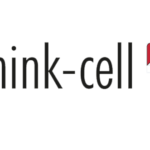 Think-cell per year, 5 users