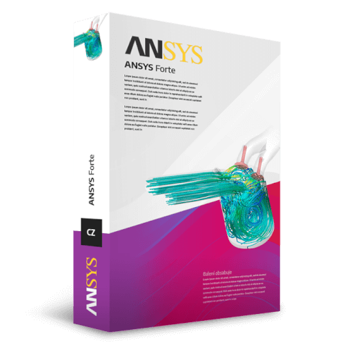 ANSYS Forte