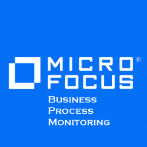 Business Process Monitoring
