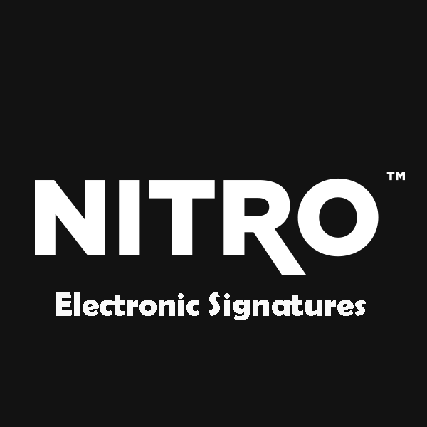 Electronic Signatures 1