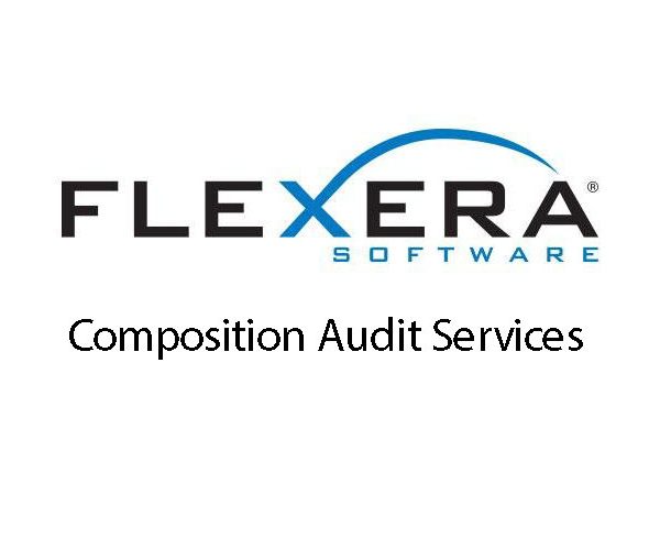 Flexera Software Composition Audit Services