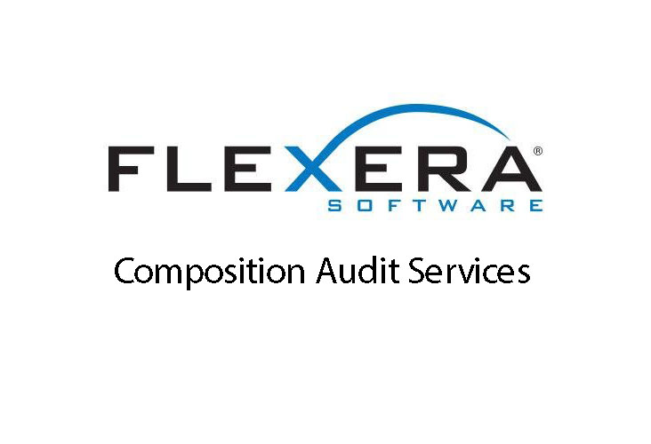 Flexera Software Composition Audit Services