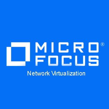 Network Virtualization