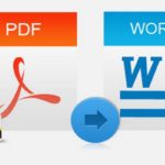 PDF to Word SDK