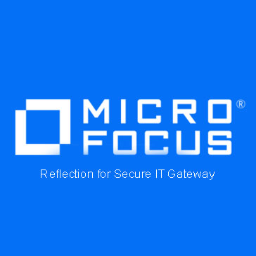 Reflection for Secure IT Gateway