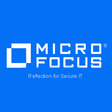 Reflection for Secure IT