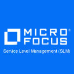 Service Level Management (SLM)