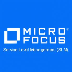Service Level Management SLM