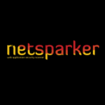 Netsparker Standard Edition