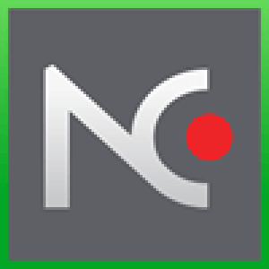netcrunch logo 1