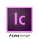 adobe incopy for teams 500x500