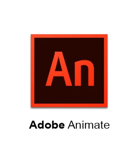 Animate / Flash Professional for teams / Year