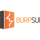 burp suite