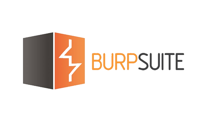 Burp Suite Enterprise / Year