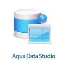 Aqua Data Studio Standard 1 Year