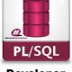pl sql developer