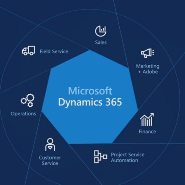 Microsoft Dynamic Vision 365