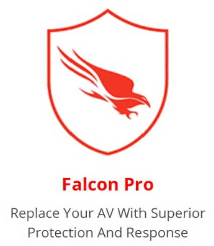 Falcon Endpoint Protection Pro Flexible