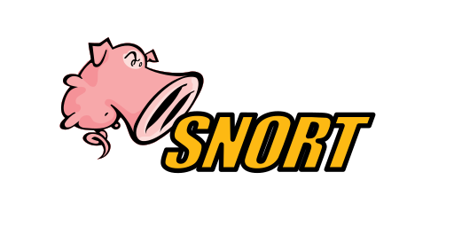 SNORT Subscriber Rule Set Annual Subscription