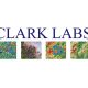 unigis clark labs partner