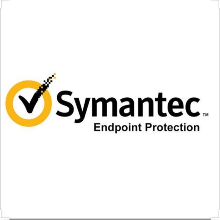 Symantec Endpoint Protection, Initial Subscription License with Support